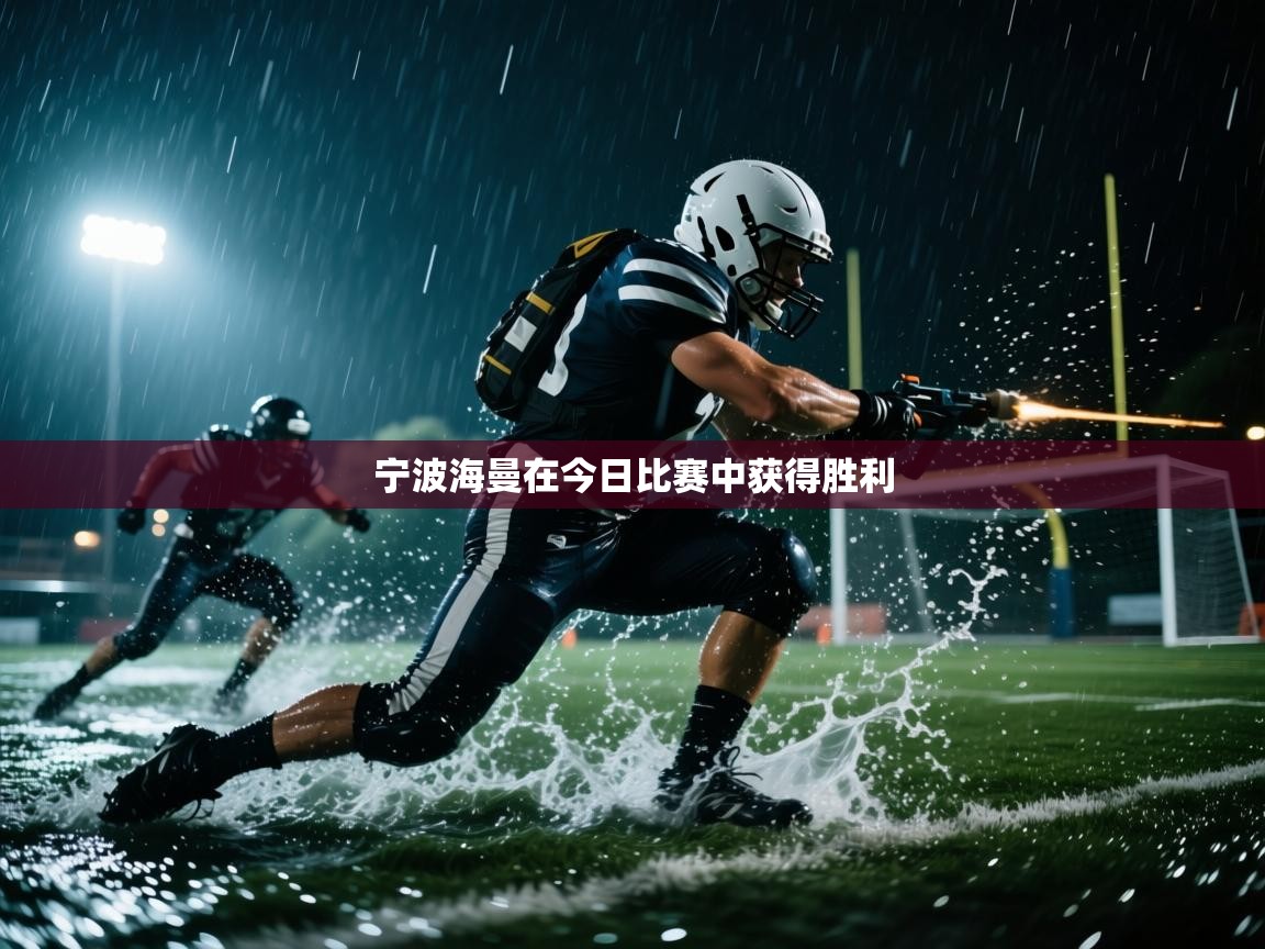宁波海曼在今日比赛中获得胜利